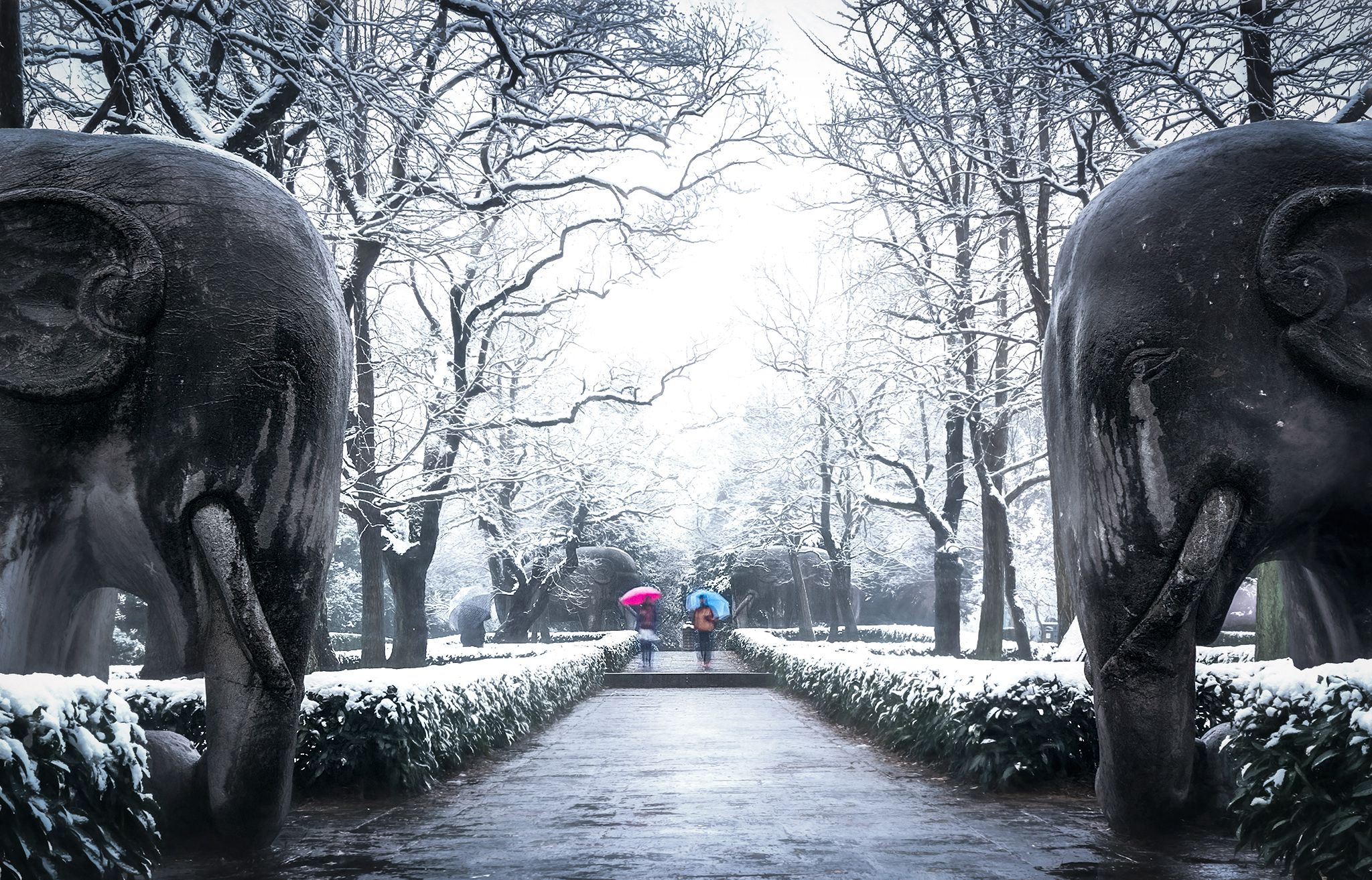 拍摄于南京明孝陵 石象路下雪